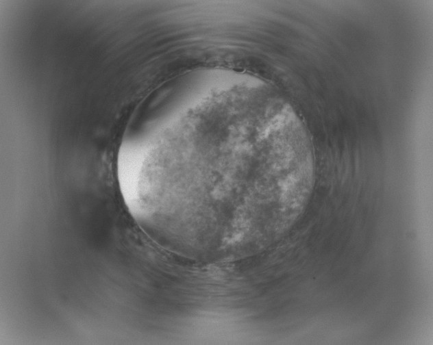 X0000068851013200605191946