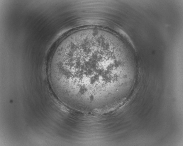 X0000068851019200605191946