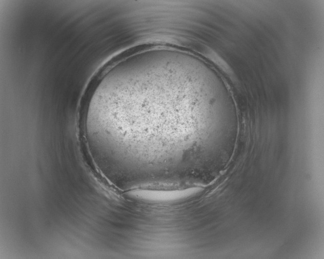 X0000068851020200605191946