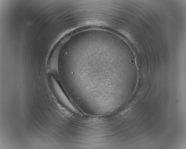 X0000068851022200605191946