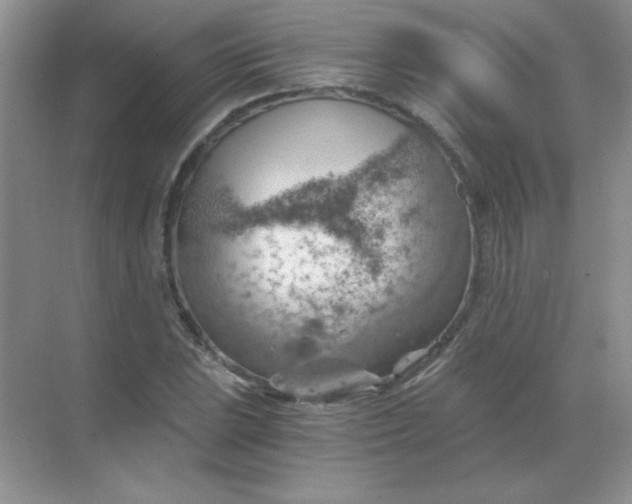 X0000068851023200605191946