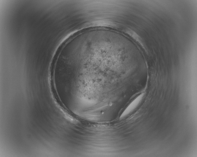 X0000068851024200605191946