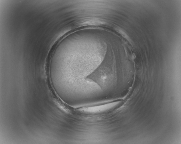 X0000068851026200605191946