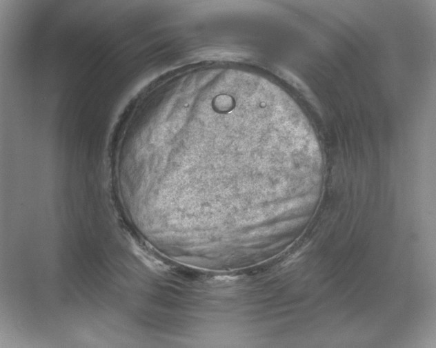 X0000068851027200605191946