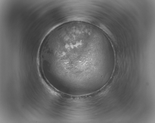 X0000068851028200605191946