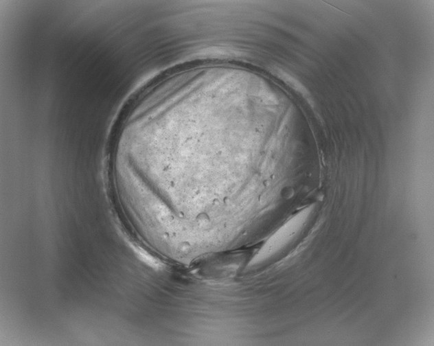 X0000068851029200605191946