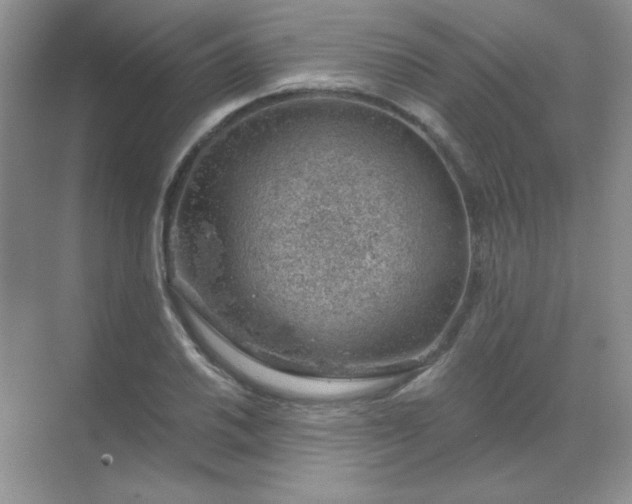 X0000068851030200605191946