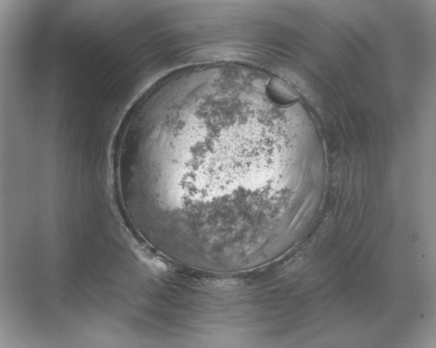 X0000068851031200605191946