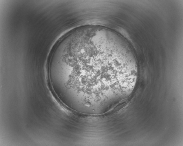 X0000068851032200605191946