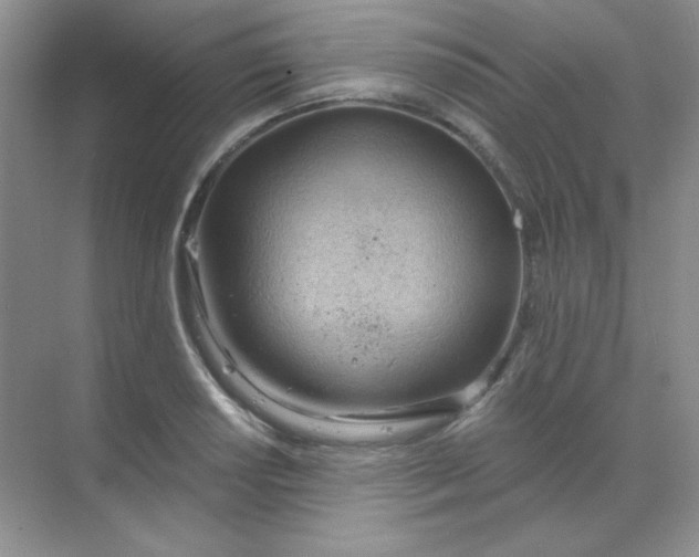 X0000068851034200605191946