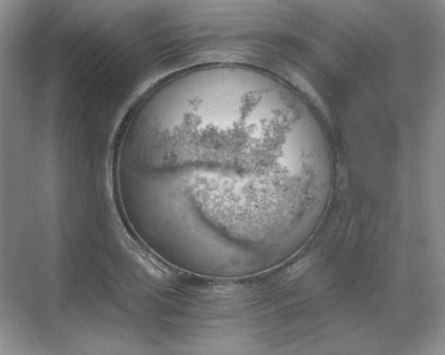 X0000068851035200605191946