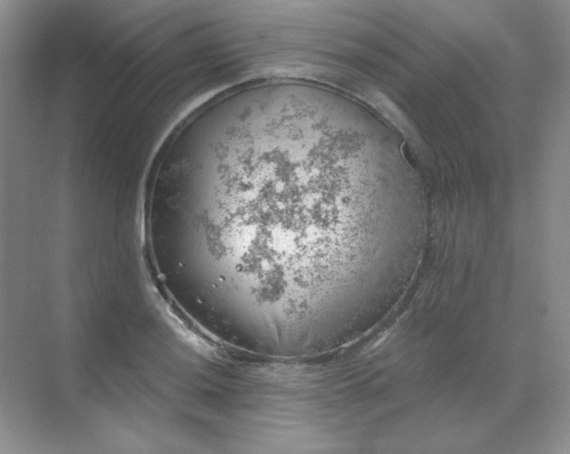 X0000068851036200605191946