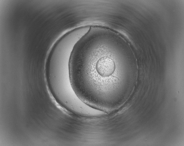 X0000068851038200605191946