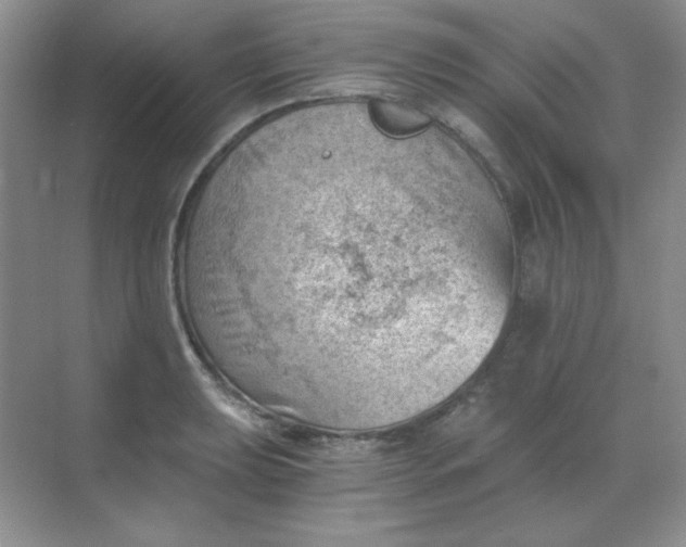 X0000068851039200605191946