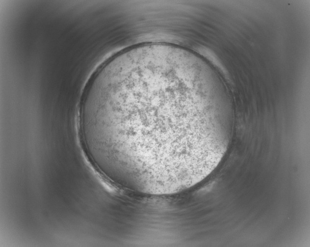 X0000068851040200605191946