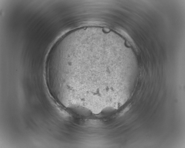 X0000068851043200605191946