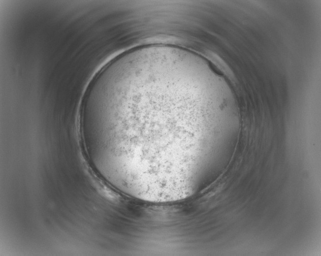 X0000068851044200605191946