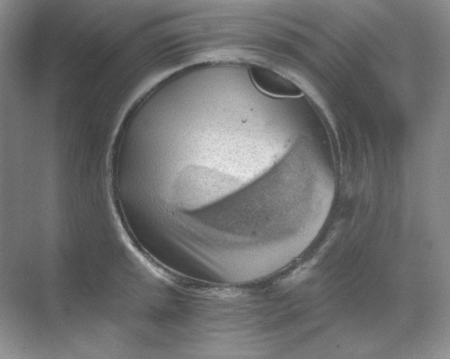 X0000068851045200605191946