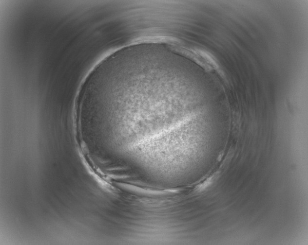 X0000068851046200605191946