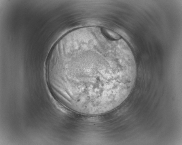 X0000068851047200605191946