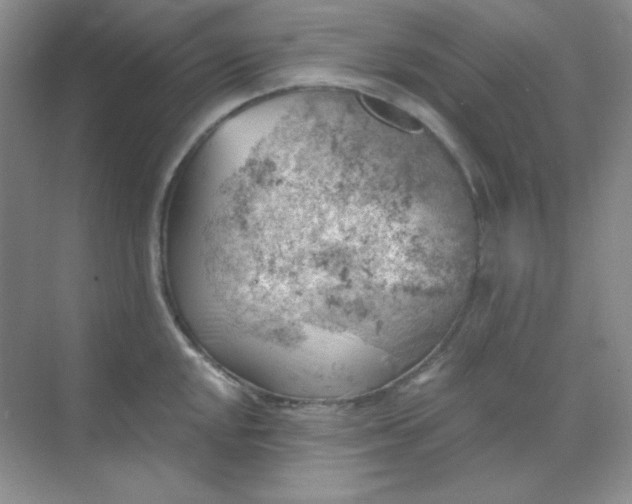 X0000068851048200605191946