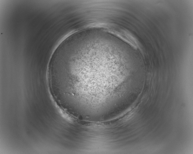 X0000068851050200605191946