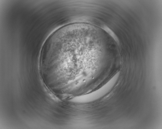 X0000068851052200605191946