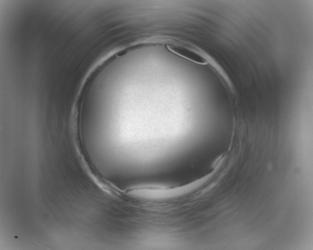 X0000068851053200605191946