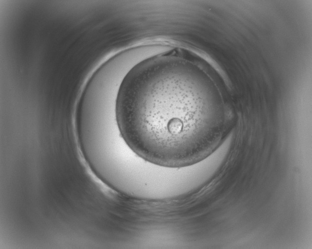 X0000068851054200605191946