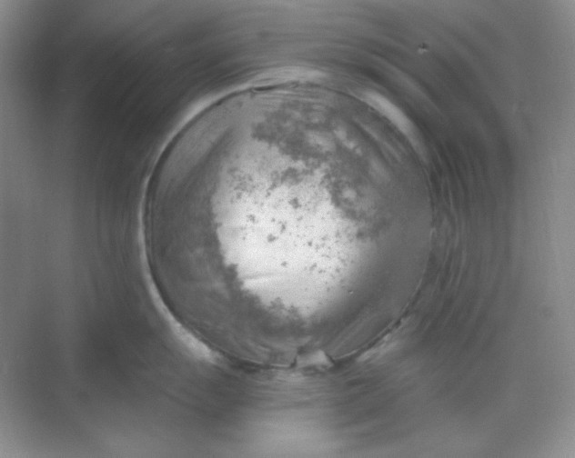 X0000068851055200605191946