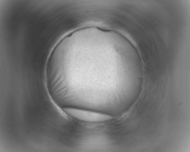 X0000068851056200605191946