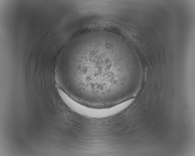 X0000068851059200605191945