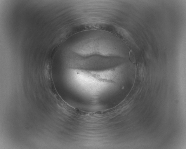 X0000068851060200605191945