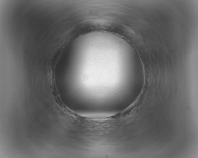 X0000068851061200605191945