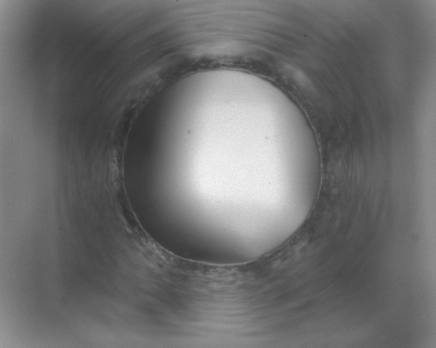 X0000068851062200605191945