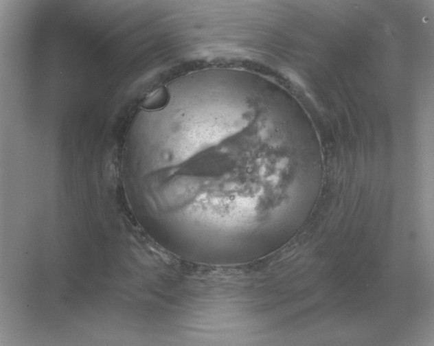 X0000068851063200605191945