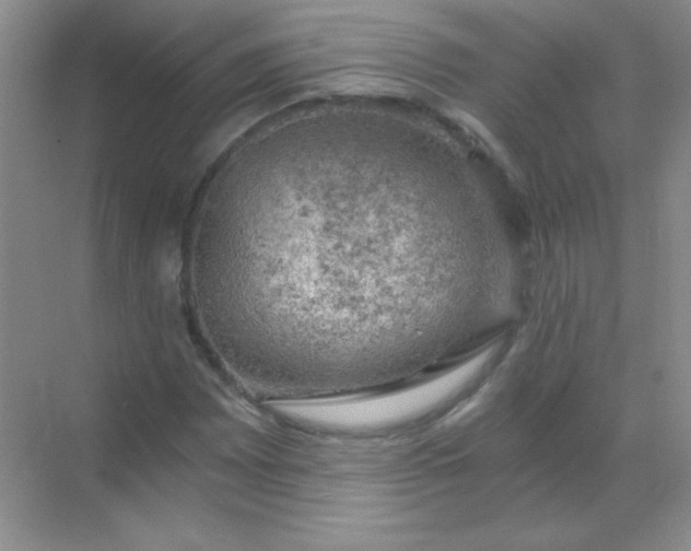 X0000068851065200605191945