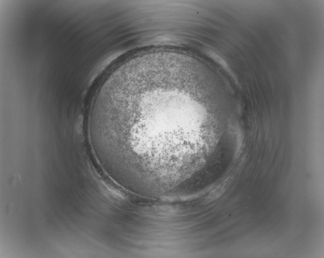 X0000068851066200605191945