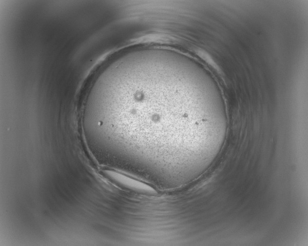 X0000068851067200605191945