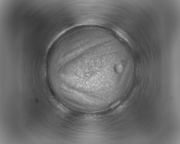 X0000068851069200605191945