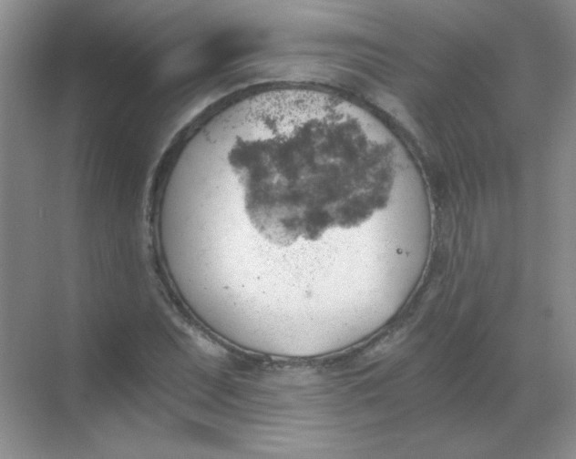 X0000068851071200605191945