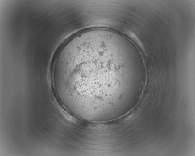 X0000068851072200605191945