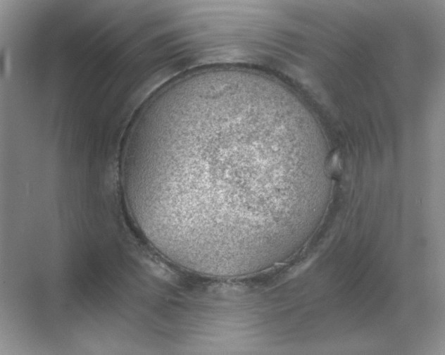 X0000068851073200605191945