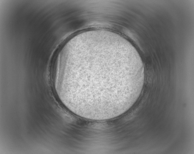 X0000068851074200605191945