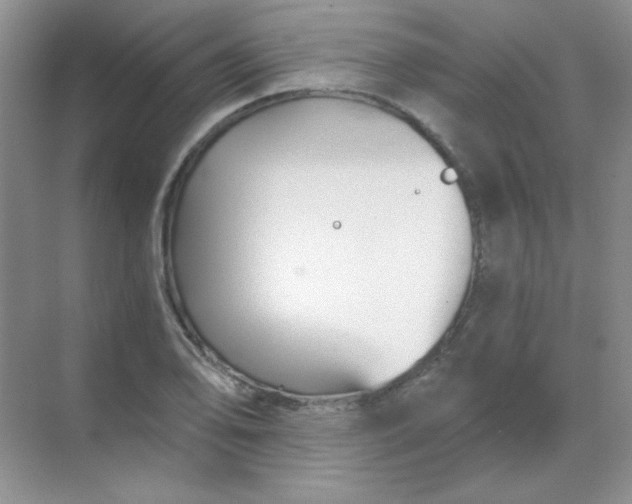 X0000068851078200605191945