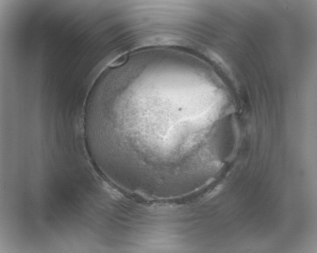 X0000068851081200605191945