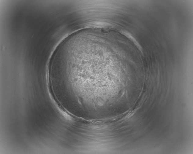 X0000068851083200605191945