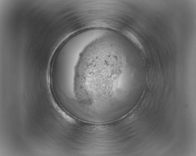 X0000068851084200605191945