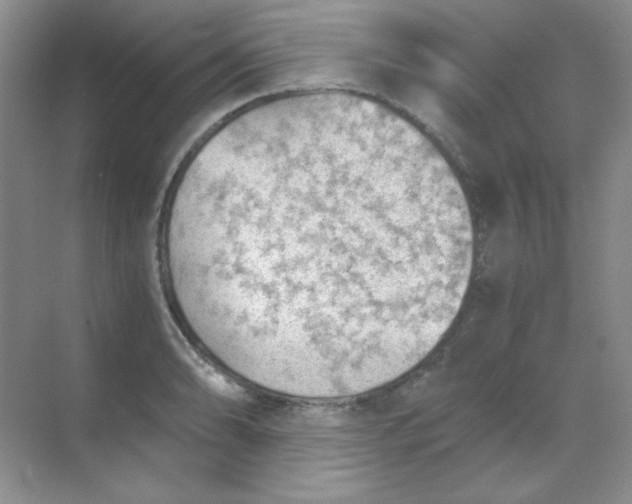 X0000068851086200605191945