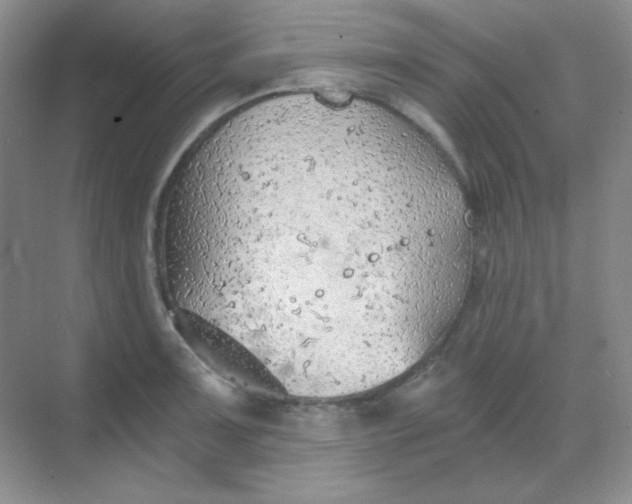 X0000068851091200605191945